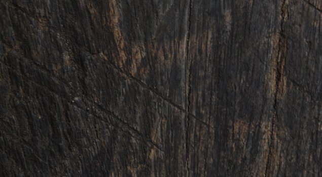 Wooden Texture 5