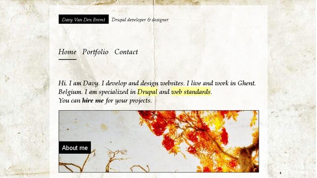 Davy Van Den Bremt - Drupal developer & designer