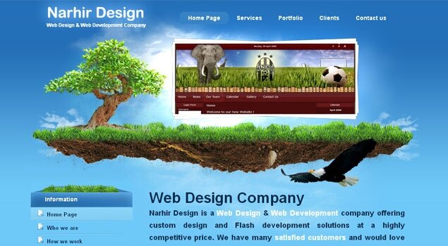 Narhir Design - Web Design Company