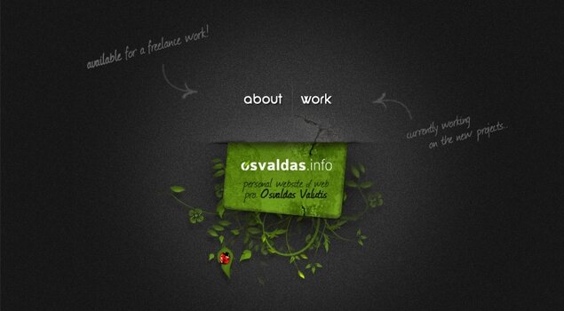 Professional freelancer web designer & developer Osvaldas Valutis