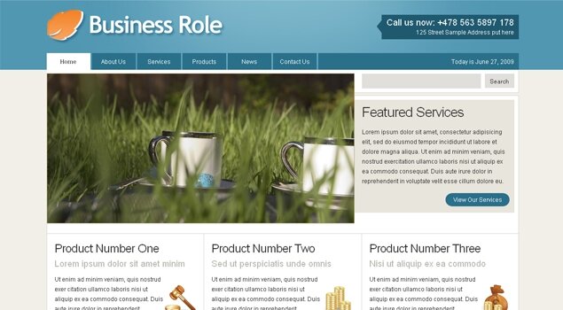 Business Role Template (10 USD)
