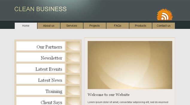 Clean Business Template (12 USD)