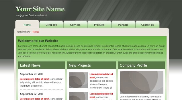 Dark and Green Business Template (10 USD)