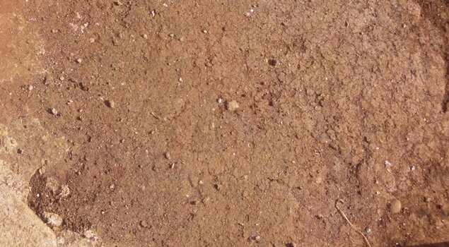 Rough Texture #5