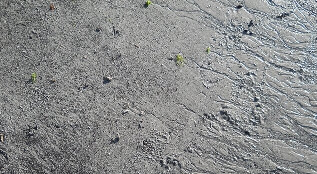 Sand Textures 04