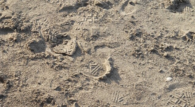 Sand Textures 06