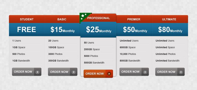 Pricing Plan Table