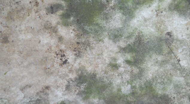 Grunge Texture 2