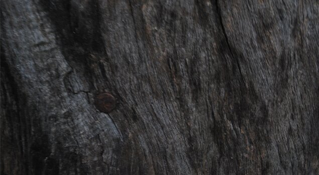 Wooden Texture 10