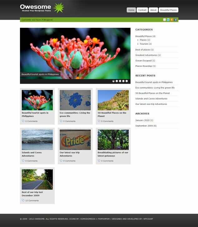 Owesome WordPress Theme